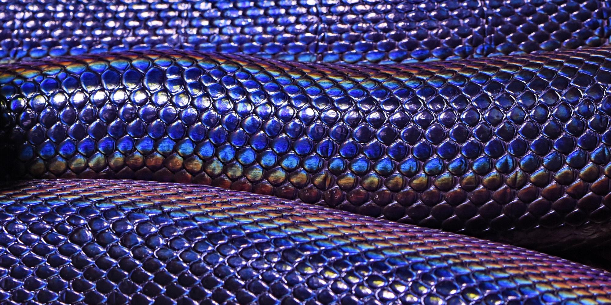 Python Library